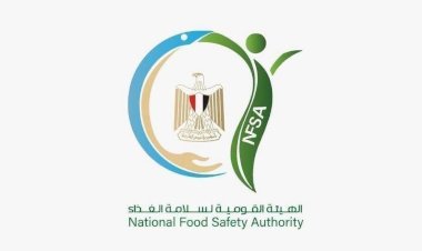 الهيئة القومية لسلامة الغذاء تحبط محاولة تداول 91 طنًا من الدواجن غير الصالحة للاستهلاك الآدمي بالإسماعيلية