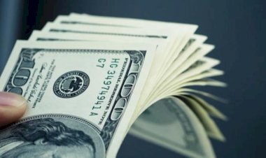 أسعار الدولار في مصر اليوم الثلاثاء