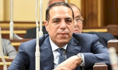 نائب: التوافق على المرحلة الثانية من اتفاق غزة يجسد نجاح مصر فى صناعة السلام