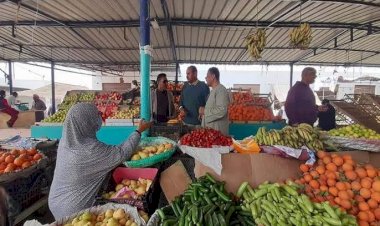 سعر الخضار والفاكهة اليوم الأربعاء في الأسواق