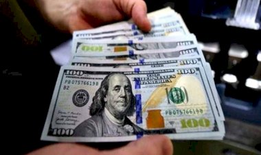 أسعار الدولار في مصر اليوم الجمعة