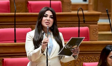 ولاء الصبان: تطبيق قانون السمسرة العقارية ضرورة لضبط السوق وحماية حقوق أطرافه