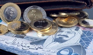 أسعار الريال السعودي في مصر اليوم الأحد