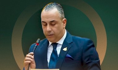 برلماني : قدرة الدولة على تأمين احتياجات الطاقة رسالة ثقة للمستثمرين