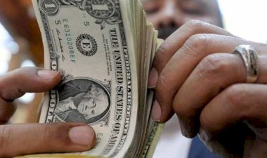 أسعار الدولار في مصر اليوم الخميس