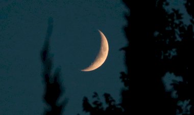 مشاهد بالعين المجردة.. الليلة هلال ربيع الأول يزين سماء الغروب
