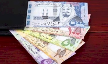 أسعار الريال السعودي في مصر اليوم الأحد
