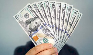 أسعار الدولار في مصر اليوم الإثنين