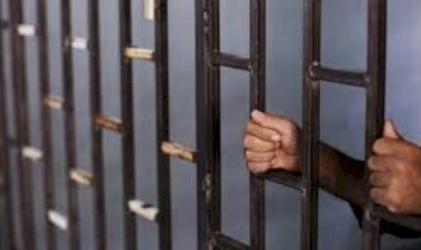 المؤبد لربة منزل بعد اتهامها بإنهاء حياة زوجها وطعنه بالرقبة في الفيوم
