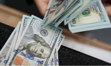 أسعار الدولار في مصر اليوم الأحد