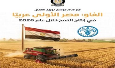 المركز الإعلامي لمجلس الوزراء: مصر الأولى عربيًا في إنتاج القمح خلال عام 2026 وفقًا لتقديرات "الفاو"