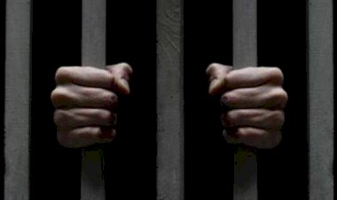 محاكمة 14 متهما في خلية الإسكندرية الإرهابية.. اليوم