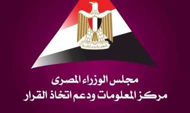 "معلومات الوزراء": مصر تحقق تقدمًا في التحول الأخضر والطاقة والنقل والمياه تتصدر القطاعات الأكثر نشاطًا