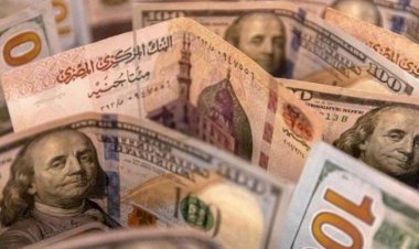 أسعار الدولار في مصر اليوم الأربعاء