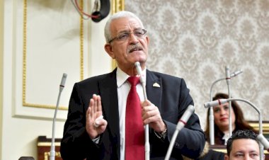 برلماني: وزارة التموين أصبحت وزارة مخابز ورغيف عيش فقط والعدادات الكودية ظلم بيّن على المواطن