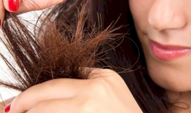 التخلص من تقصف أطراف الشعر.. خطوات بسيطة تحافظ على صحته