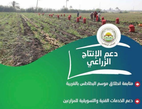 "الزراعة" تستعرض جهودها في دعم المزارعين وتحقيق الأمن الغذائي خلال الأسبوع الأول من أغسطس الجاري