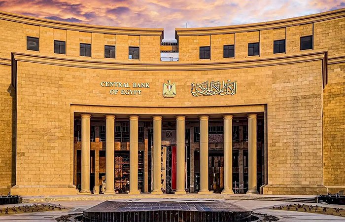 البنك المركزي يطلق البوابة الإلكترونية للجنة الاستقرار المالي الإفريقية لتعزيز التعاون بين البنوك المركزية بالقارة