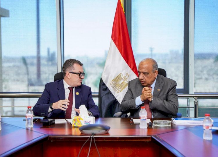 وزيرا الكهرباء والتخطيط يبحثان خطة الاستثمارات العامة وتعزيز تمويل مشروعات الطاقة والمعادن النادرة