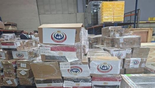 مصر تقدم شحنة جديدة من الأدوية لدعم القطاع الصحي اللبناني
