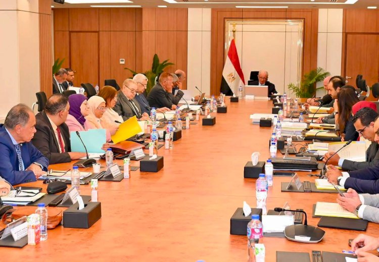 «القابضة للأدوية» تستهدف 18.9 مليار جنيه إيرادات و3.6 مليار جنيه أرباحًا خلال 2026-2027