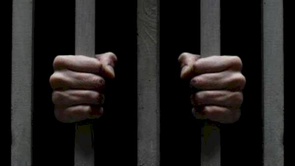 محاكمة 14 متهما في خلية الإسكندرية الإرهابية.. اليوم