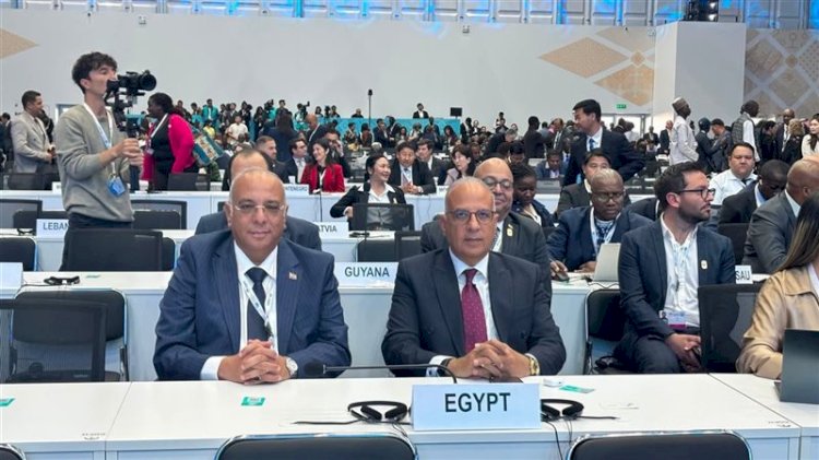 وزير الري يلقي كلمة مصر في الشق الوزاري لـ COP17 بمنغوليا