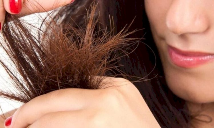 التخلص من تقصف أطراف الشعر.. خطوات بسيطة تحافظ على صحته