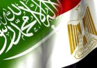 برلماني: العلاقات المصرية السعودية ركيزة الاستقرار العربي.. وتنسيق القاهرة والرياض ضرورة لحماية الأمن