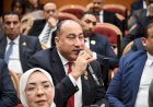 عضو الشيوخ: المرحلة الراهنة تفرض تعزيز التضامن العربي وتنسيق المواقف