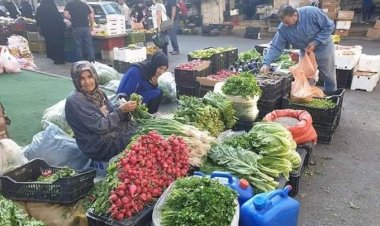 سعر الخضار والفاكهة اليوم الثلاثاء في الأسواق