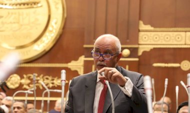 حازم الجندى: «علاجك فى مصر» خطوة لدعم المصريين بالخارج وبناء منظومة للرعاية