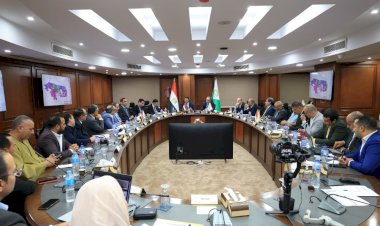 وزير الصناعة ومحافظ الجيزة يبحثان ملفات العمل وتقنين الأوضاع بمنطقتي جرزا وعرب أبوساعد الصناعيتين