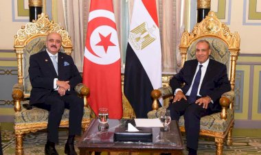 وزير الخارجية يلتقي نظيره التونسي بالقاهرة
