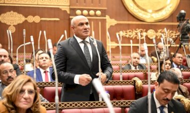 برلماني: الاستثمار في التعليم لا يكتمل إلا بقياس نتائجه.. والهدف طالب مصري قادر على المنافسة