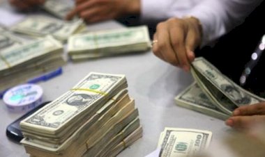 أسعار الدولار في مصر اليوم الثلاثاء 8 سبتمبر