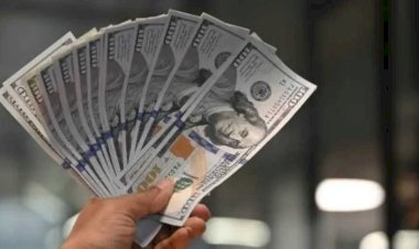 أسعار الدولار في مصر اليوم الأحد 13 سبتمبر