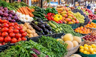 سعر الخضار والفاكهة اليوم الإثنين 14 سبتمبر في الأسواق
