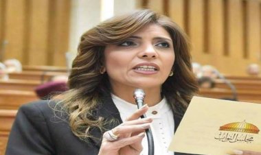 نائبة: لقاء الرئيس السيسي وولي العهد السعودي في توقيت بالغ الأهمية