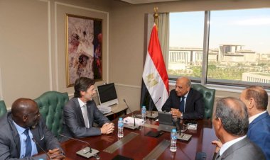 وزير الكهرباء يبحث مع «IEC» سبل تعزيز التعاون الفني والمؤسسي بين مصر والمنظمة