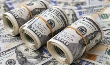 أسعار الدولار في مصر اليوم السبت 19 سبتمبر