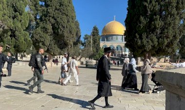 مصر تدين اقتحام المسجد الأقصى المبارك