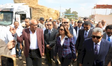وزيرة التنمية المحلية والبيئة ومحافظ الدقهلية يتفقدان موقع تجميع قش الأرز بمركز بلقاس