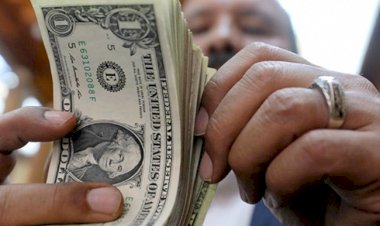 أسعار الدولار في مصر اليوم