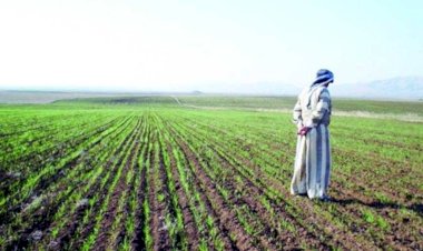 "الزراعة" تستعرض جهودها في دعم المزارعين وتحقيق الأمن الغذائي خلال الاسبوع الثالث من سبتمبر الجاري