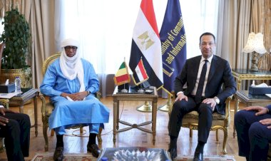 مصر ومالي تبحثان تعزيز التعاون في التحول الرقمي وتطوير البنية التحتية للاتصالات