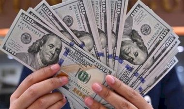 أسعار الدولار في مصر اليوم الإثنين 28  سبتمبر