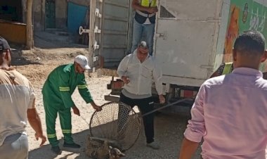 مصرع شاب إثر سقوطه في بيارة صرف صحي بإحدى قرى الدقهلية