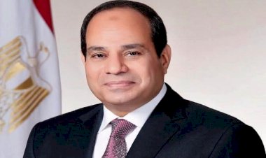 الرئيس السيسى: ثوابت السياسة الخارجية لمصر تشمل دعم أمن واستقرار دول الخليج