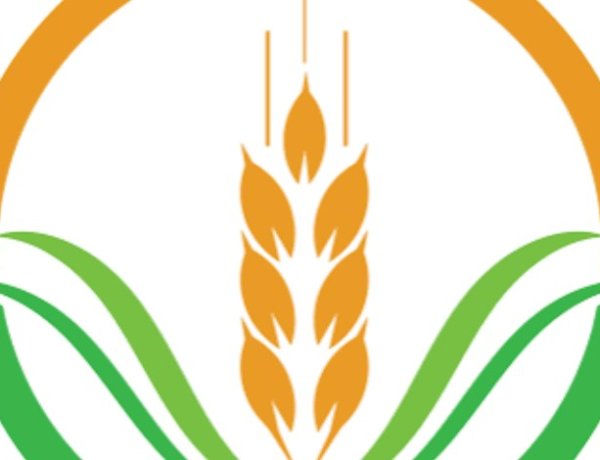 قرار جمهورى بشأن الهيئة العربية للاستثمار والأمن الغذائى
